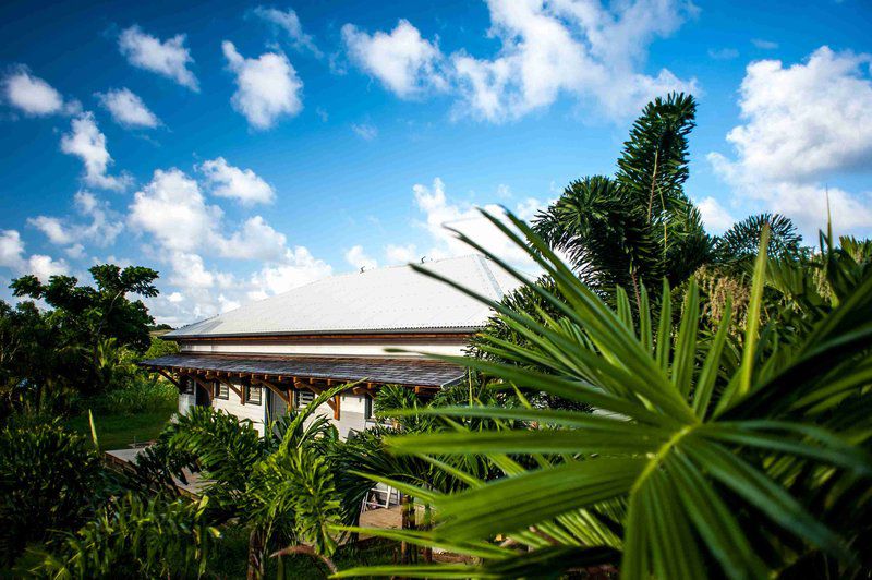 French Coco Hotel La Trinité Buitenkant foto