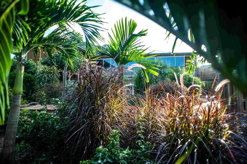 French Coco Hotel La Trinité Buitenkant foto